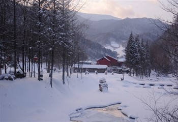 黑龙江雪谷