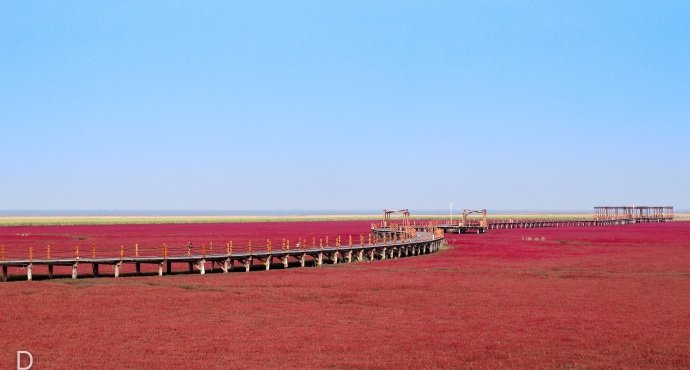 辽宁红海滩国家风景廊道旅游