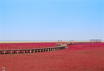 辽宁红海滩国家风景廊道