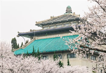 湖北武汉大学