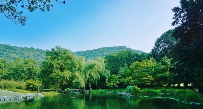 浙江太子湾公园旅游