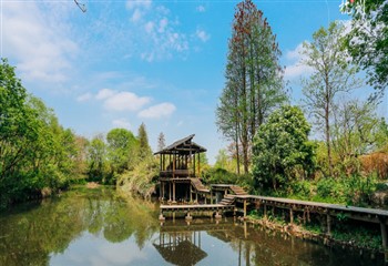 浙江西溪国家湿地公园