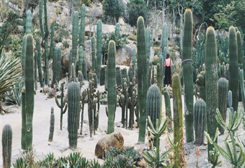 福建厦门园林植物园